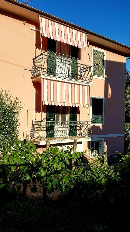 Casa Rosa Apartment Sestri Levante Bagian luar foto